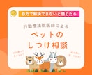 行動療法獣医師が犬の問題行動のご相談にのります しつけで解決できないと感じた飼い主様へ★質問は何度でも◎ イメージ1