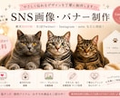 楽天ROOM・SNS画像を作成します かわいく伝わる画像を丁寧に作成します イメージ1