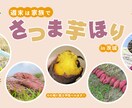 シンプル、伝えるをモットーにデザインします 満足いただけるまで、希望に沿ったバナーを作成します。 イメージ1