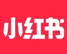 中国ソーシャルメディア運営のコンサルします 中国のソーシャルメディア運用のノウハウを個別で提案します！ イメージ2