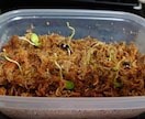 大学生が教える、観葉植物の育て方選び方教えます 観葉植物を中心に大学生の部屋の環境で枯らさないコツを伝えます イメージ2