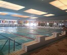 水泳競泳の相談承ります 「泳げない、上手く出来ない、速くなれない」　解決しましょう！ イメージ1
