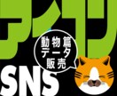 SNS／プロフィール用アイコン〈動物篇〉販売します お好みのアイコンを選ぶだけで即使用できます！【動物篇】 イメージ1