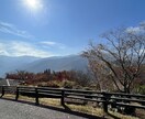 YES/NO 鑑定_ ご質問を2点占います 幸運の水晶で浄化したタロットカードを使って占います イメージ3
