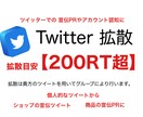 拡散目安【200RT】になるまで拡散します 貴方のツイートを隅々までお届けします。 イメージ1