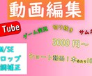 格安！ショート動画編集承ります 動画の編集、テロップ入れ、サムネ作成などお任せください イメージ1