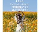 亡くなった大切な方、ペットさんの声を聞いて届けます 【霊視】亡くなった大切な人・ペットちゃんともう一度。 イメージ1