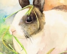 ハガキ～A4サイズで動物ちゃんの似顔絵描きます 水彩でふんわり優しく♬.*ﾟ可愛らしい表情を描きます イメージ3
