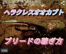 ヘラクレスオオカブトのブリードで稼げます ヘラクレスオオカブトを育てて楽しくブリードしながら販売。 イメージ1