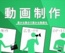 ピクトグラムで分かりやすい動画の制作します ピクトグラムを使用し、老若男女問わず視覚的に分かりやすい動画 イメージ1