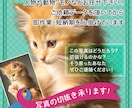 写真の切り抜き承ります 人物や動物、モノなどなんでも来いです！ イメージ2