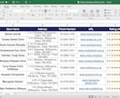 Googleマップ営業リストCSV即日納品します AIが即日抽出！手作業ゼロの営業リスト イメージ3