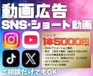 お任せ♪心を動かす広告・ショート動画を作成します 商品・店舗紹介やファミリー等…様々なニーズにお応えします！ イメージ1