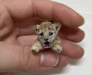 うちの子そっくり！リアルな動物ドール作ります ペットやオリキャラ、ドールハウスに！犬猫から小動物まで何でも イメージ3