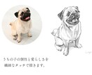 うちの子を温かみのあるタッチの絵で表現します 贈り物にも喜ばれる本格うちの子アートです イメージ2