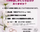 ISUM申請困ったら即対応！致します 面倒なISUM申請をプロが代行！ イメージ2