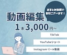 ショート動画 / TikTok等　編集いたします 1コマ1コマ丁寧な制作を心掛けています イメージ1