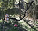 パーティー(結婚式)のアイデア考えます オンリーワンのパーティーのプロデュース結婚式など イメージ1