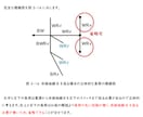 電気工事士試験の複線図問題の画期的アドバイスします ミス無く、サクサク複線図問題を解けるようになりたい方へ イメージ5