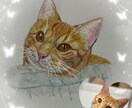 お家の猫ちゃんの似顔絵描きます 色鉛筆で丁寧に仕上げます！！お顔中心に描かせて戴きます。 イメージ6