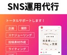 InstagramなどのSNS運用承ります 企画〜投稿・分析までまるっとお任せください！ イメージ1