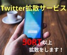 60万人にツイートを拡散します ココナラ、YouTubeの宣伝拡散に効果的です イメージ1