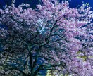 要望にお応えして、写真編集、素材提供受けたわります 時間がかかる写真の編集や、今すぐ素材が欲しいにお応えします イメージ5