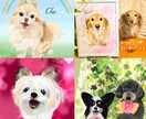 配送あり。うちの子をリアルにペットイラスト化します 犬、猫大歓迎。うちの子を可愛く描きます！印刷サービスあり イメージ4