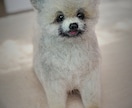 大切な愛犬さんをお作りします 世界にたった一つ♡うちのコ羊毛フェルト♡ イメージ7