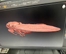 造形物/立体物を高精度３Dスキャンします アナログ原型を３D デジタルデータに変換します イメージ4
