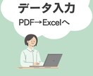 低価格でデータ入力代行します PDFからExcelに入力します イメージ1