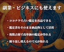 相性と人間関係を3つの占術で多角的に本格鑑定します 算命学・西洋占星術・タロットで読み解く相性鑑定 イメージ4
