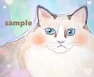 水彩風で可愛く♡小動物の似顔絵あなただけに描きます 先着5名様初回特別価格￥1500☆うちの子の可愛い形にします イメージ4