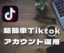 Tiktokとリールを１ヶ月運用代行します 200万回再生の実績を元にアドバイスさせて頂きます イメージ1