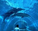 就活のサポートします 就活初心者のサポートお任せください! イメージ1