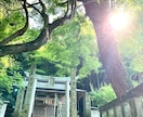 潜在意識を書き換え、本来の自分へ導きます 感情感覚の癖、トラウマ、自己否定、人間関係など思考ぐせ解除 イメージ4