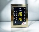 筆文字デザインで唯一無二の【命名書】お書きします 手書きで書いた文字を使ったWebデザイン使用！【写真L判】 イメージ1