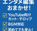 動画編集を全力で魅力的にサポートします 見やすく、楽しさを伝える動画編集をお届けします！ イメージ1