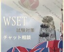 チャット形式　WSET合格に向けてサポート致します WSET Diploma保持者が受験に向けてアドバイスします イメージ1