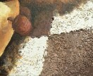 ペットのお写真を味のある油絵にします 現役藝大生がペットとの思い出を形にするお手伝いをします！ イメージ9