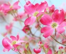 雑談部屋✨いろいろ話そう！今日も元気に挨拶します 雑談ならなんでもいいよ！色々話そう✨一緒に楽しく笑いましょう イメージ7