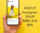 あなたのインスタグラムを特別にプロデュースします 企業のインスタをアドバイスするプロがあなたを徹底サポート上級 イメージ3