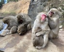 あなたを笑顔にしてあなたの人生をプラスに変えます 1度きりの人生、泣く数よりも笑顔の数を増やしていきましょう！ イメージ1