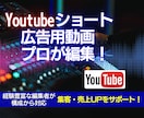 丸投げOKYouTubeショート広告動画制作します マーケ視点で設計する広告動画作りにこだわっています イメージ1