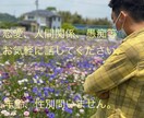 三日間チャットし放題。どんなお話もお聞きします 恋愛、人間関係、仕事の事、愚痴等何でもお聞かせください♪ イメージ1