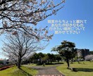 平日朝から対応できます 誰かに話すことで自分の気持ちの整理ができます。 イメージ6
