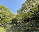 何でも聴きます♡傷ついたあなたを私が受け止めます モヤモヤ。苦しい。経験豊富なママが受け止めるよ♡ イメージ7
