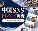 中国SNS・ECの公開情報を日本語で調査します URL・要約・注目点を出典付きで整理 イメージ1