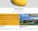 売上拡大！Shopifyネットショップ立ち上げます スピーディーで丁寧！集客力抜群のECサイトをお届けします！！ イメージ9