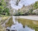 ぬい撮り×伊勢神宮｜ぬいぐるみと代理で参拝します 【思い出やSNS掲載用に】伊勢神宮からご祈願写真をお届け イメージ7